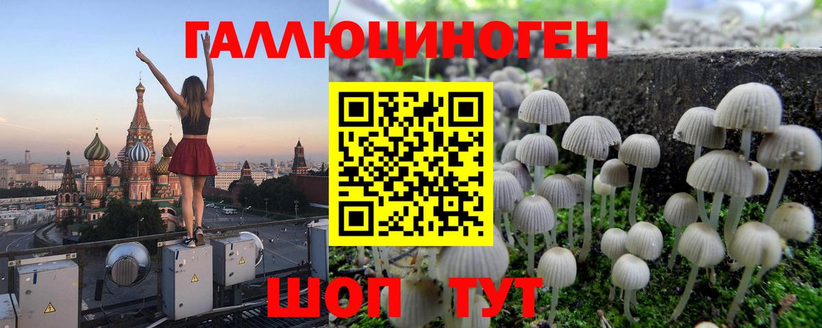 Псилоцибиновые грибы GOLDEN TEACHER Ивантеевка
