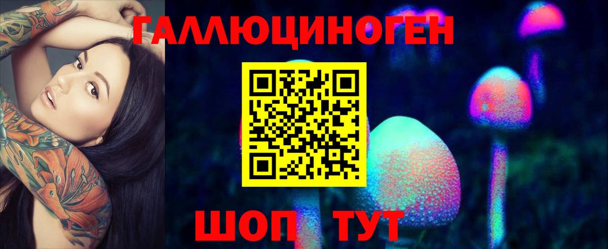 Галлюциногенные грибы GOLDEN TEACHER  Псилоцибиновые грибы прущие грибы  Вход с VPN  Ивантеевка 